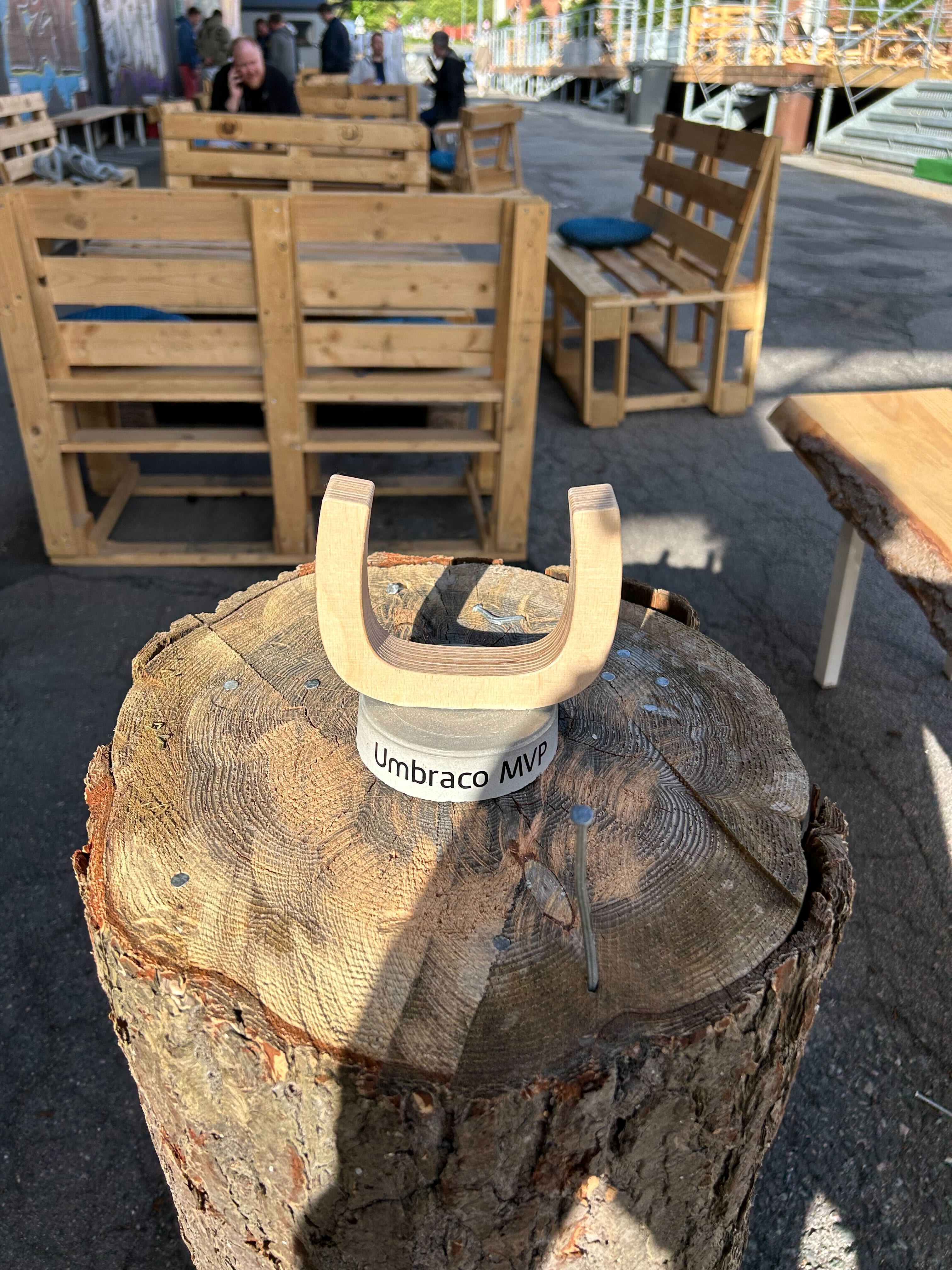 Ollie's MVP statue placed on a log used for the game of hammerschlagen