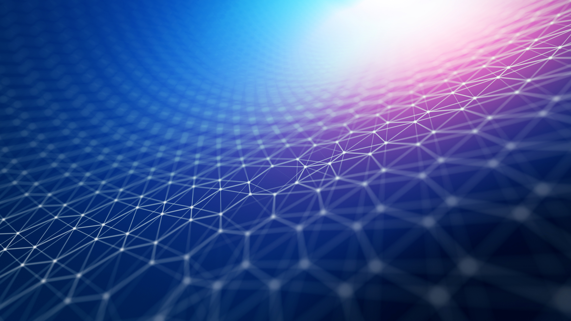 Balancing brand and performance for long-term growth