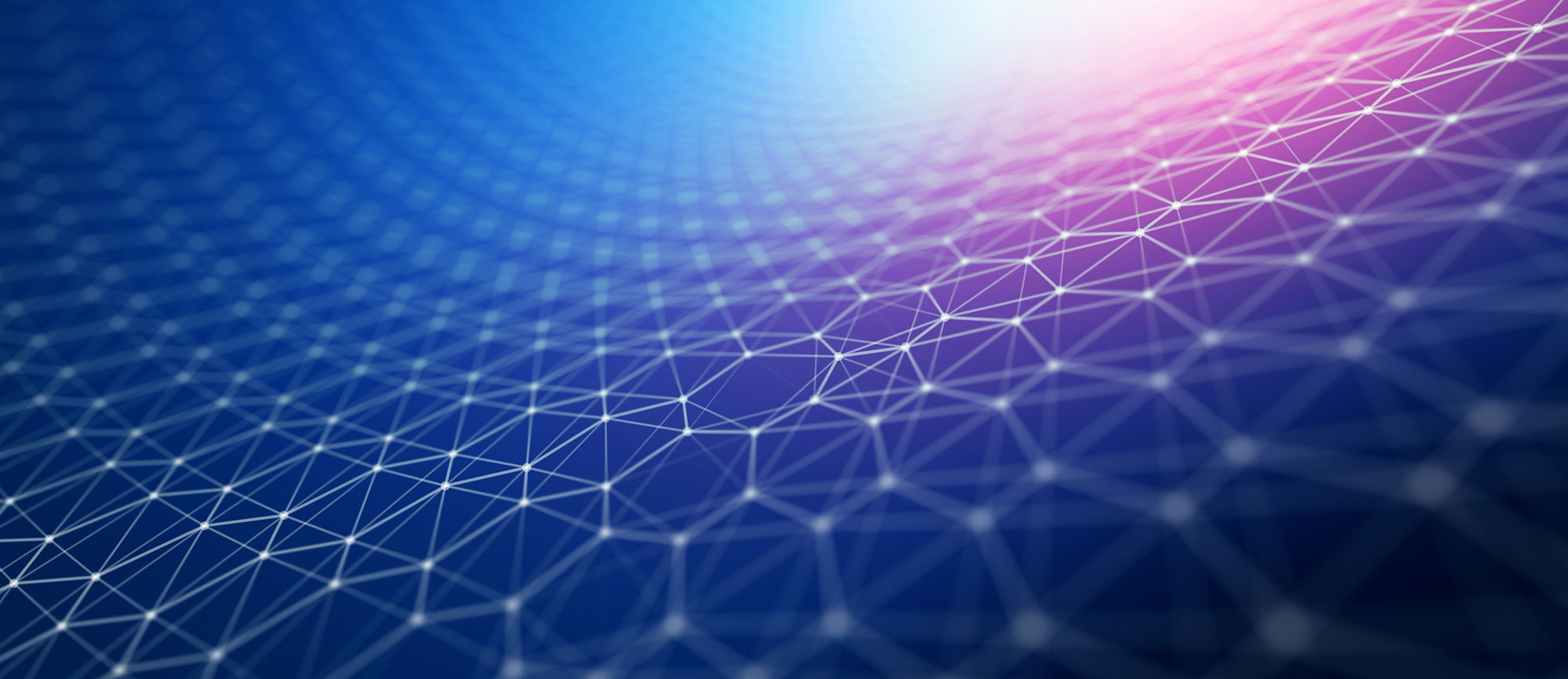 Balancing brand and performance for long-term growth